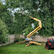 Best Sod Installation  in Duson, LA